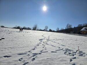 roubenka Zvičina | roubenka realizace